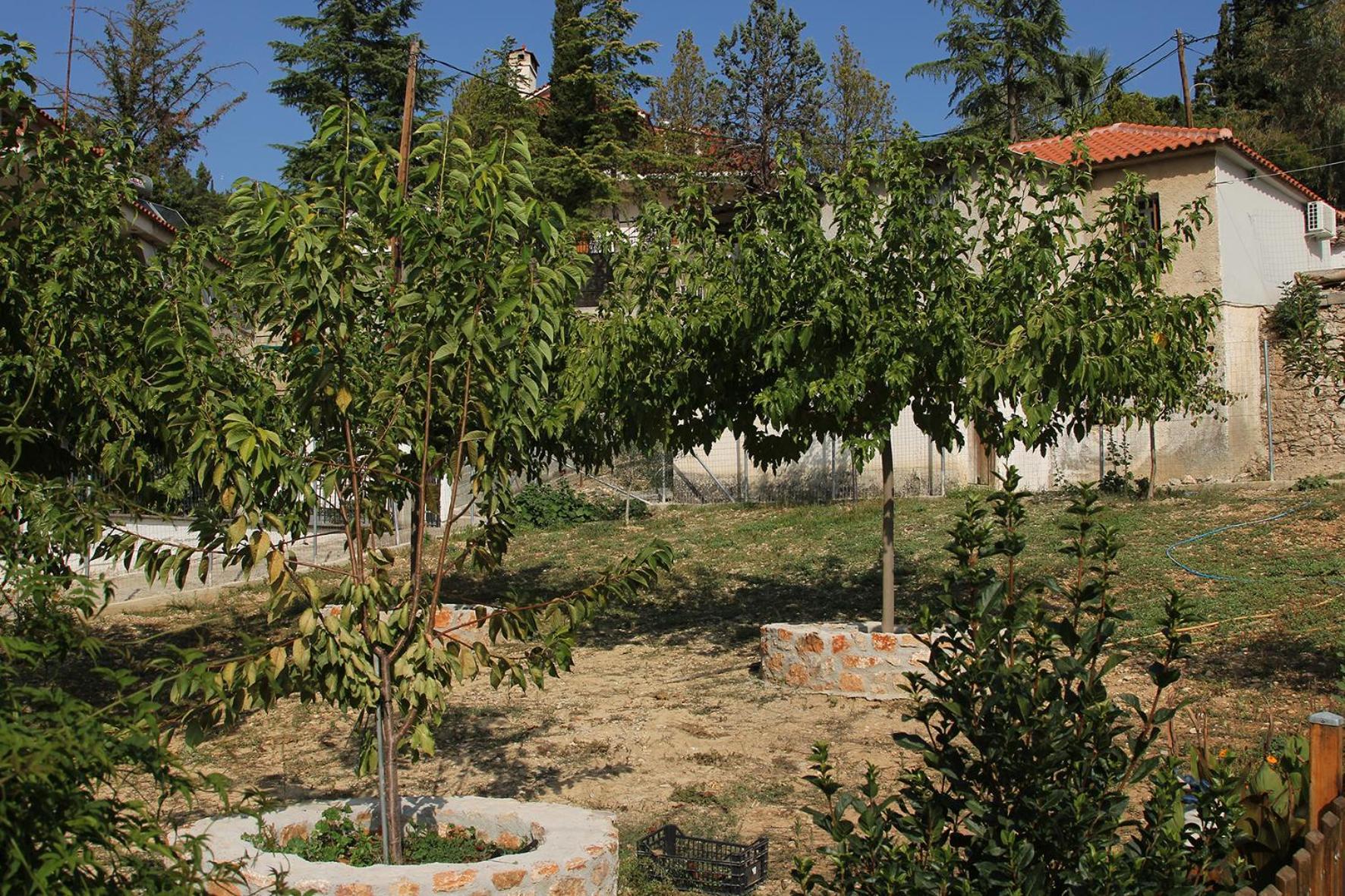 Vagelis 2 Nemea Apartments Exteriör bild